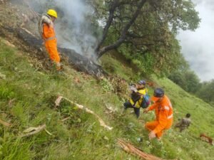 उत्तराखंड में हेलीकॉप्टर दुर्घटना की जांच करने के लिए विमान दुर्घटना जांच ब्यूरो