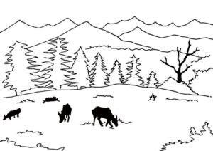 मुनसियारी की सुंदरता जो प्रकृति और मिथक को बांधती है