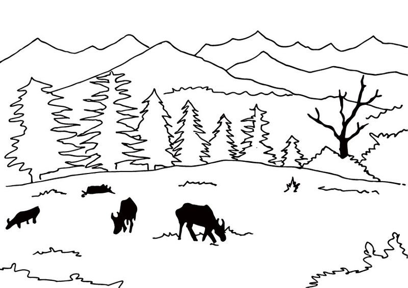 मुनसियारी की सुंदरता जो प्रकृति और मिथक को बांधती है