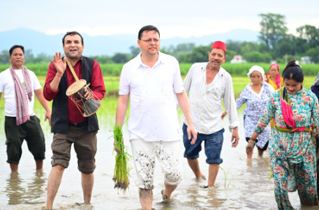 सीएम धामी ने खटीमा में की धान रोपाई, किसानों के श्रम को किया नमन।