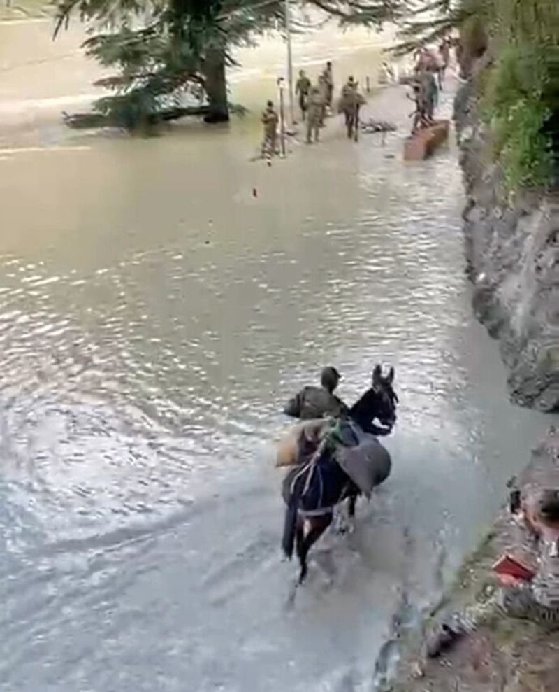 होफेड सेंटिनल्स: बाढ़-हिट धरली में, सेना के खच्चर नौका की आपूर्ति जहां कोई वाहन नहीं पहुंच सकता है