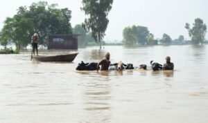 बाढ़ में बचाव और राहत कार्यों का आकलन करने के लिए केंद्रीय टीमों, हिट जम्मू -कश्मीर, पंजाब, हिमाचल, उत्तराखंड