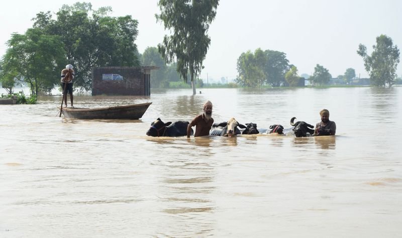 बाढ़ में बचाव और राहत कार्यों का आकलन करने के लिए केंद्रीय टीमों, हिट जम्मू -कश्मीर, पंजाब, हिमाचल, उत्तराखंड